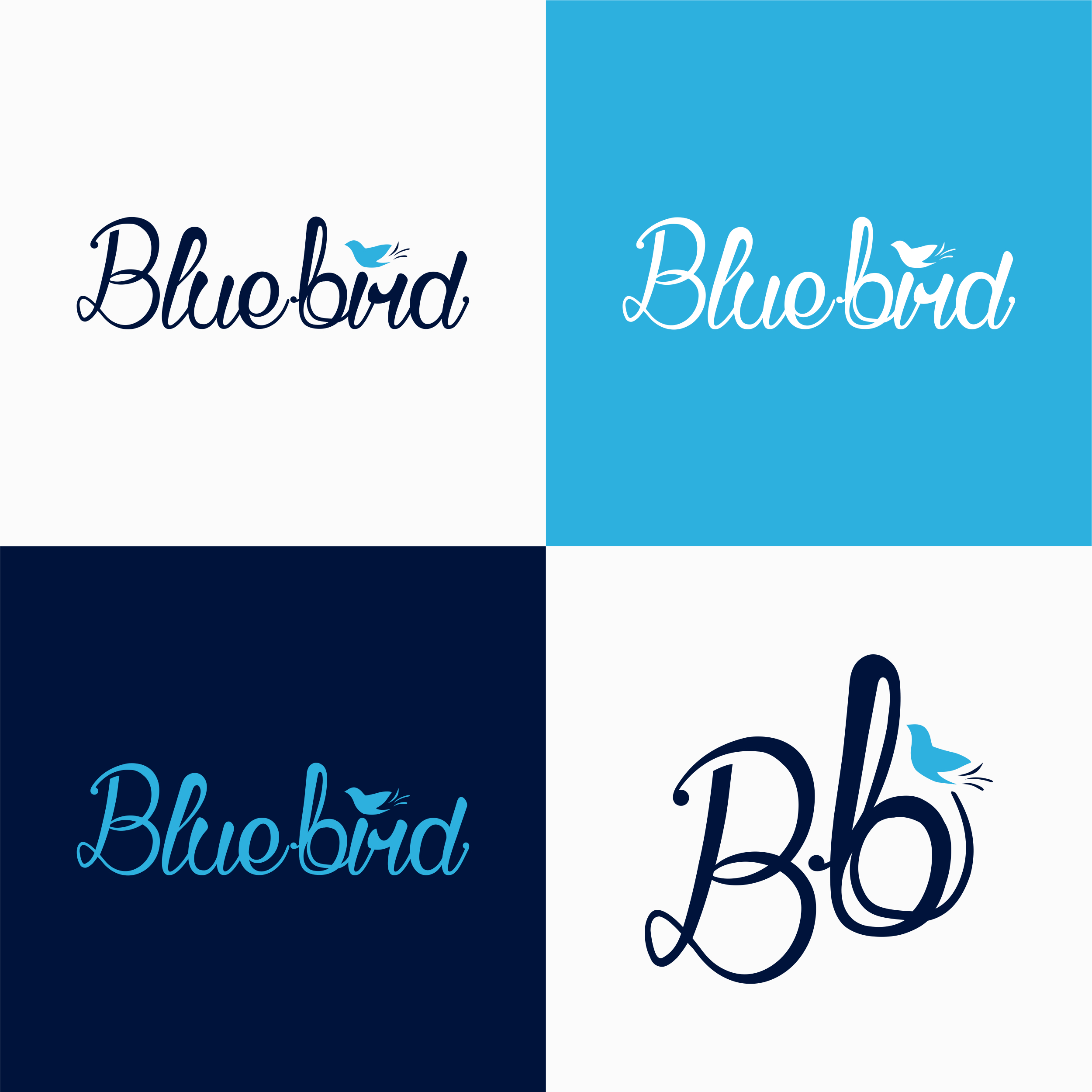 DS-BB. Logo by Design and Supply Design & Supply Mary Ballout DS